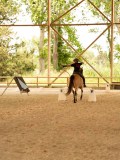DSC00021