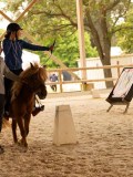 DSC00339 DSC00339