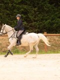 DSC05638 DSC05638