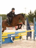 DSC06190