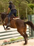 DSC05799 DSC05799