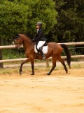 DSC00518 DSC00518
