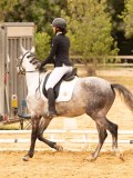DSC07967 DSC07967