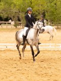 DSC07994 DSC07994