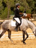 DSC08019 DSC08019