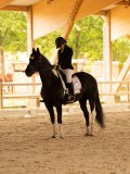 DSC07668 DSC07668