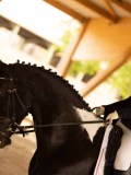 DSC07674 DSC07674