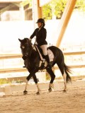 DSC07679 DSC07679