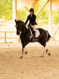 DSC07695 DSC07695