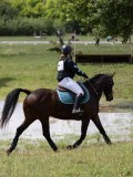 IMG_3890 IMG_3890