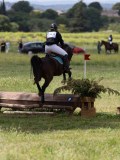 IMG_3892 IMG_3892