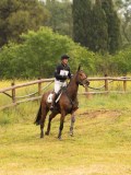 DSC07044 DSC07044