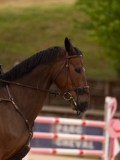 DSC09971
