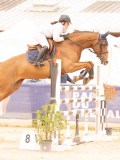DSC01526 DSC01526