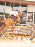DSC01528 DSC01528