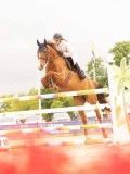DSC01529 DSC01529