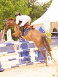 DSC01534 DSC01534