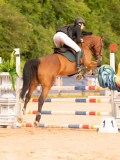 DSC04550 DSC04550