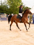 DSC04560 DSC04560