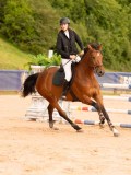 DSC04567 DSC04567