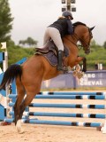 DSC00166 DSC00166