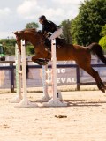DSC04768 DSC04768