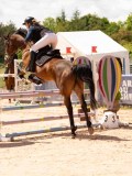 DSC04929 DSC04929