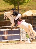 DSC02678 DSC02678