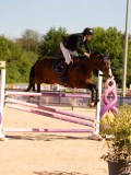 DSC04614 DSC04614