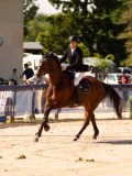 DSC04624 DSC04624