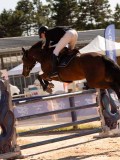 DSC04629 DSC04629