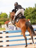 DSC07659 DSC07659