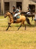 DSC04220