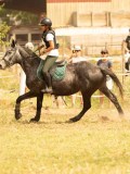 DSC04560
