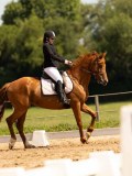 DSC02945 DSC02945