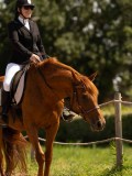 DSC02946 DSC02946