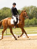 DSC04164 DSC04164