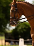 DSC04165 DSC04165