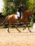 DSC04174 DSC04174