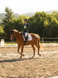 DSC04884 DSC04884