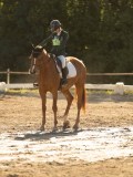 DSC04915 DSC04915