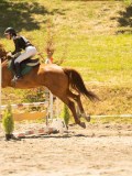 DSC06954 DSC06954