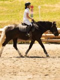 DSC06743 DSC06743