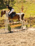DSC07834 DSC07834
