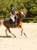 DSC07837 DSC07837