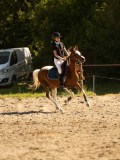 DSC07843 DSC07843
