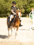 DSC07849 DSC07849