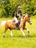 DSC09365 DSC09365