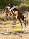 DSC08364 DSC08364