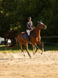DSC08374 DSC08374